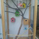 Derin Butik *