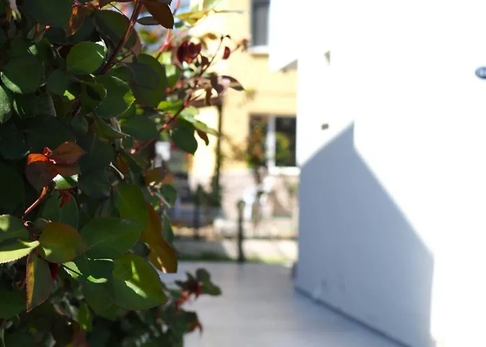 Derin Butik * Siğacık