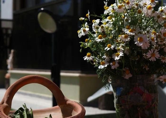 Derin Butik Hotel Siğacık