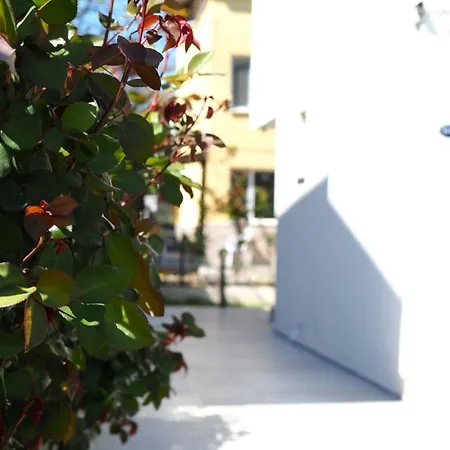 Derin Butik * Siğacık