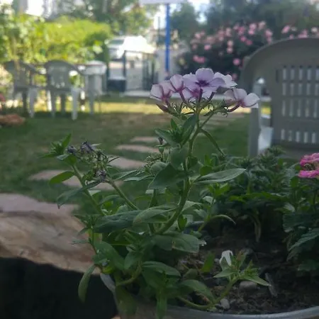 Derin Butik Ξενοδοχείο Siğacık