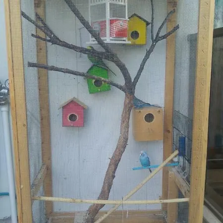 Derin Butik *